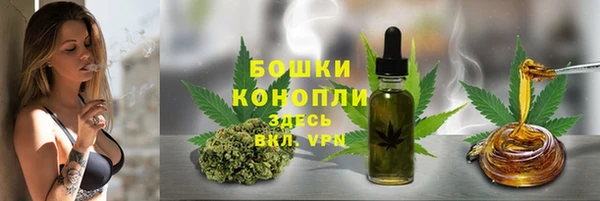спиды Алзамай