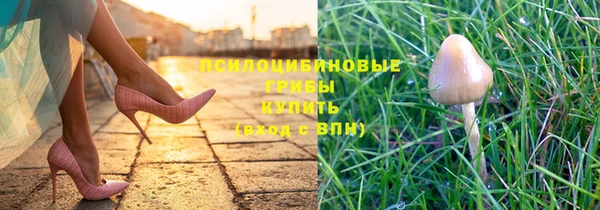 спиды Алзамай