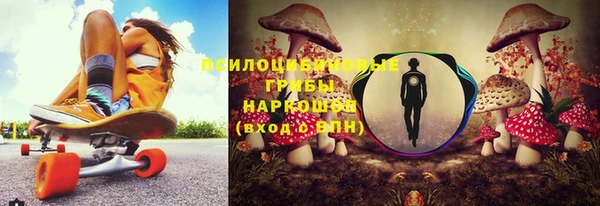 спиды Алзамай