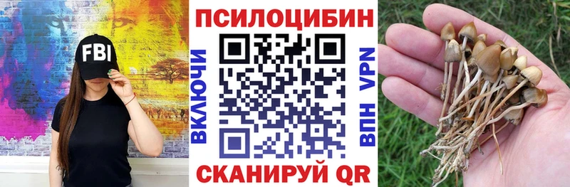закладки  Борзя  Псилоцибиновые грибы мухоморы 